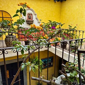 Auberge de jeunesse Maison Bougainvillea Antigua